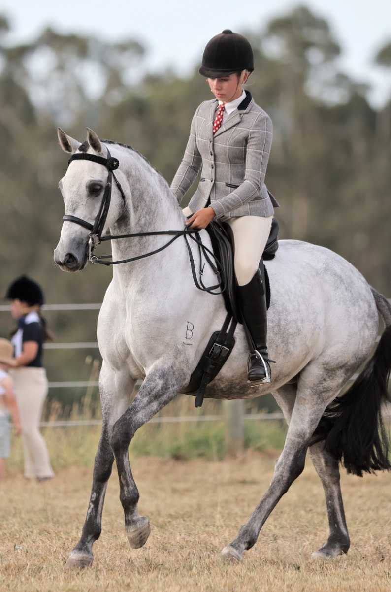 Macey Postill and Panorama Perfect