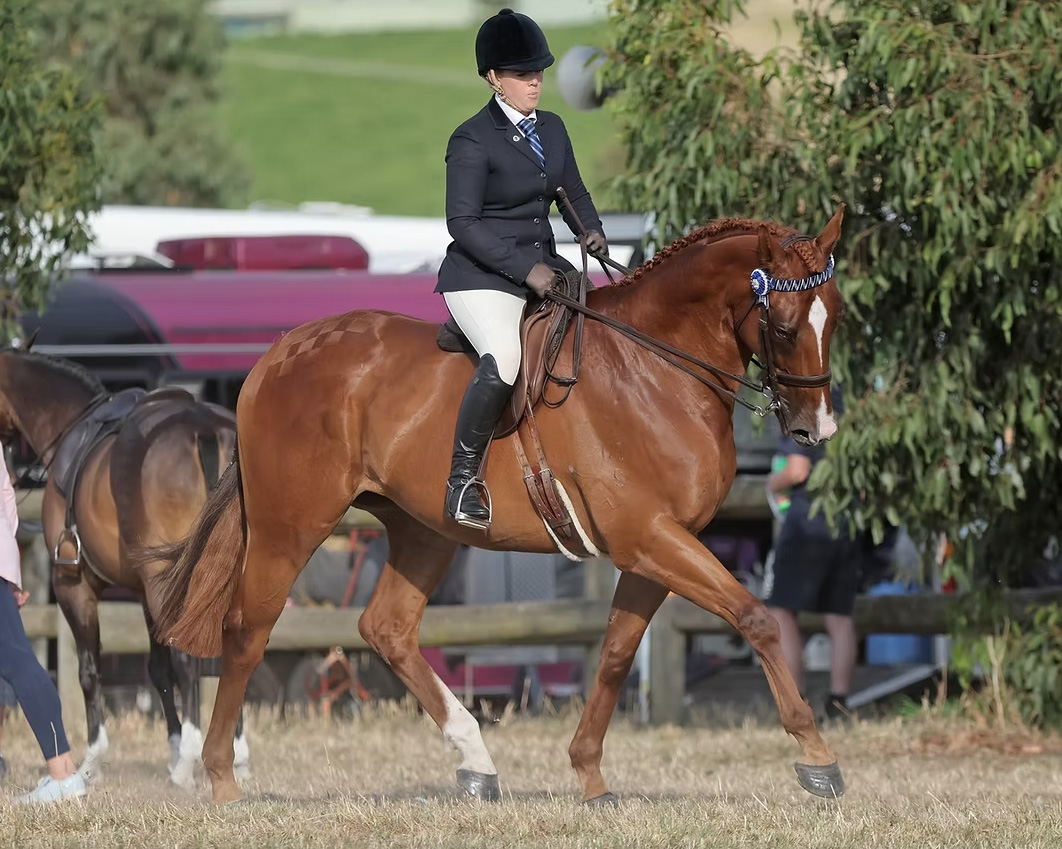 Farrier Cait Knuckey and her mum, Donna, travelled from north of Yarrawonga to exhibit CKS Dancer One.