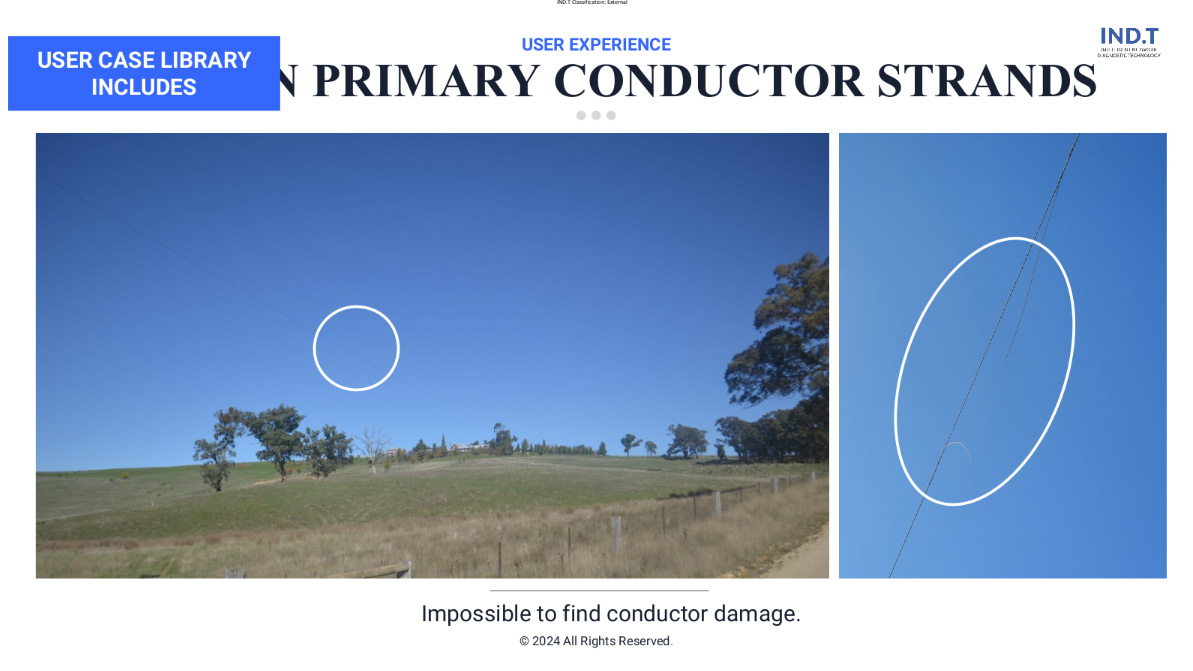INDT Primary conductor strands