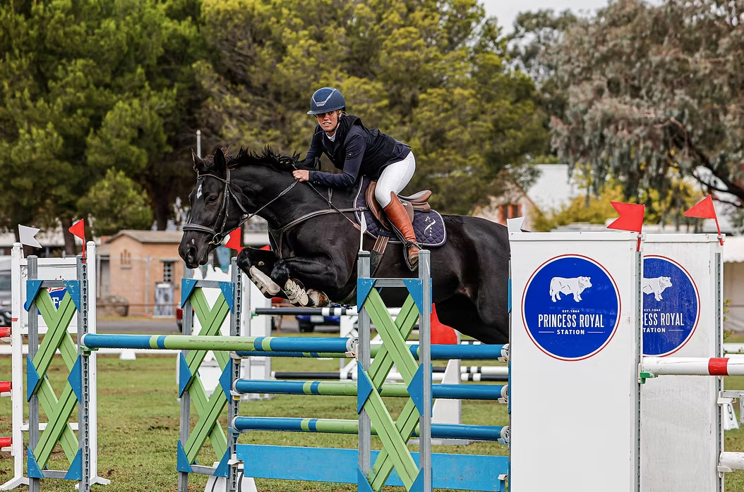 SA Showjumping