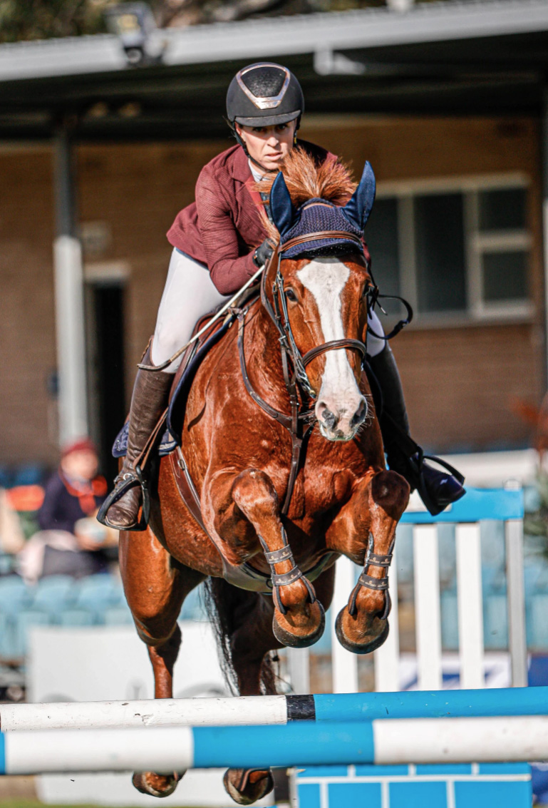 SA Showjumping