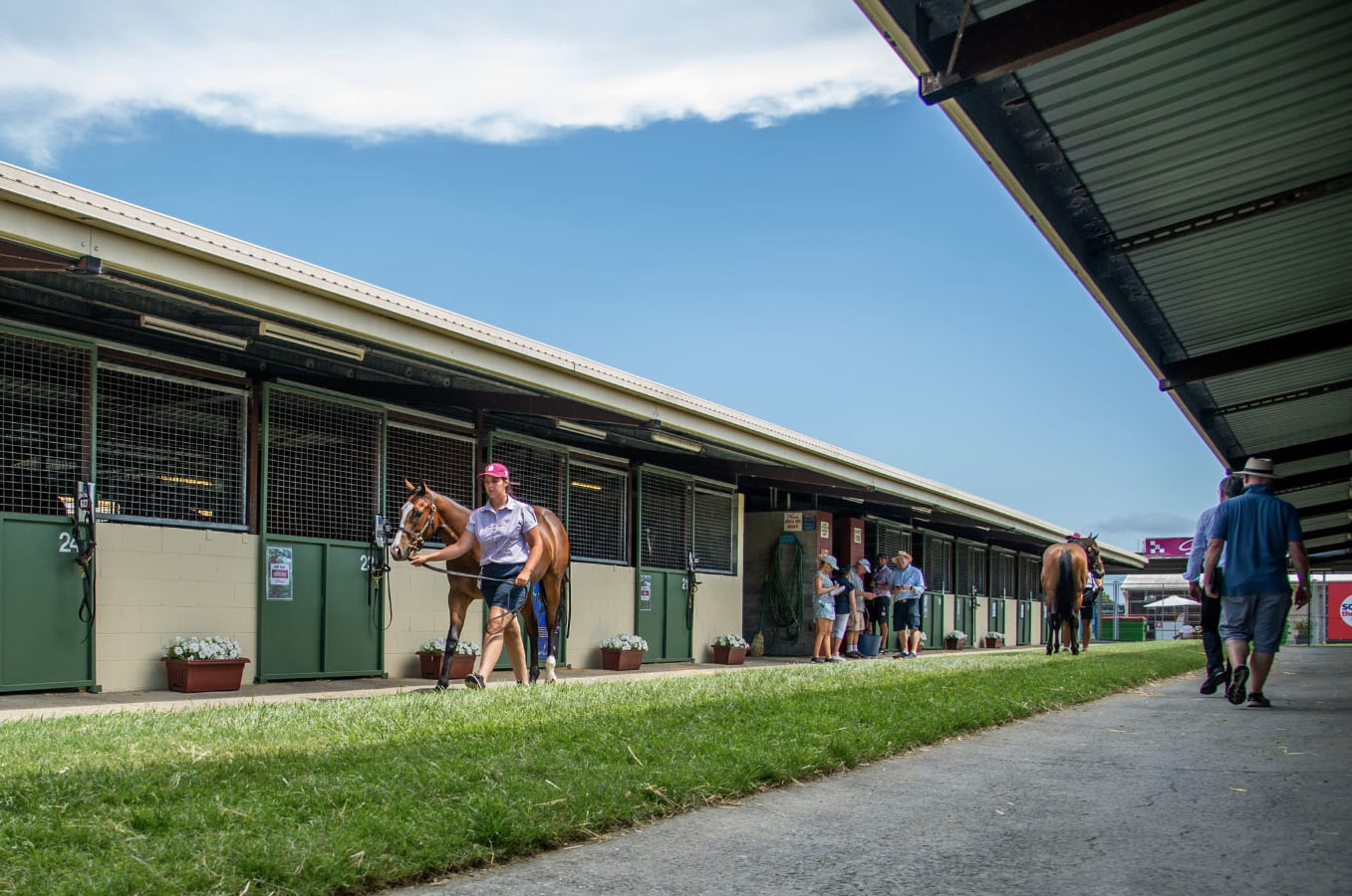 Thoroughbred stables