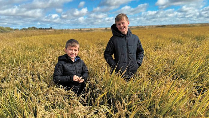 Children in field