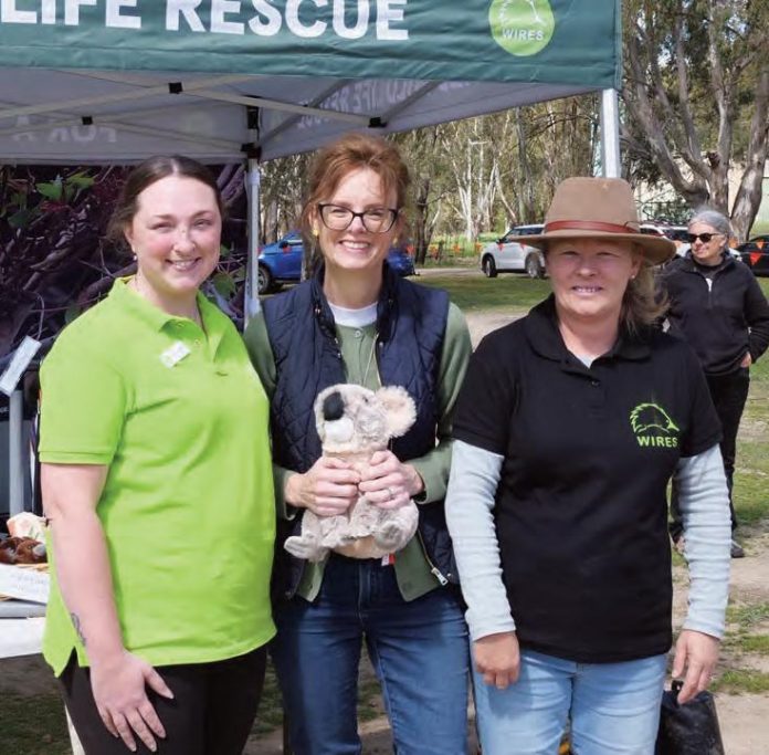 Narrandera Koala Fest