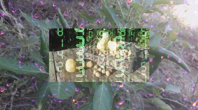 AI image