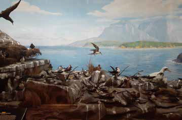 Allan McCulloch painting