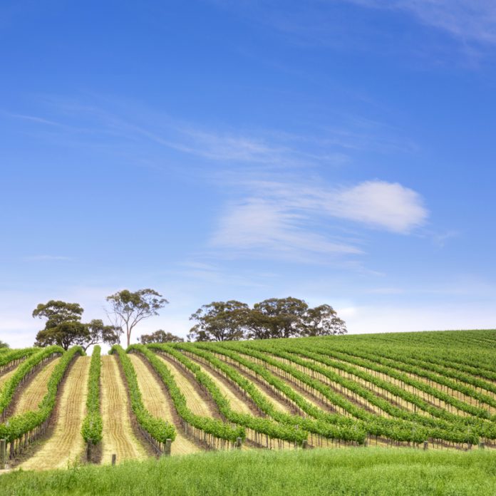 Clare Valley