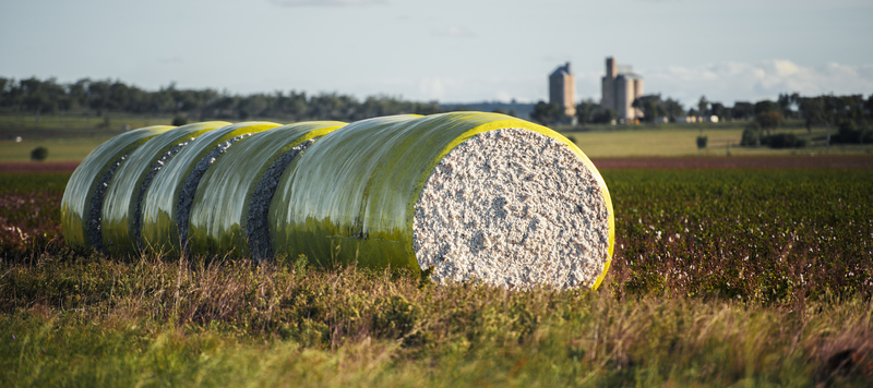 Cotton bales