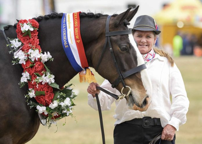 TRGeelong11.25A Clydesdale