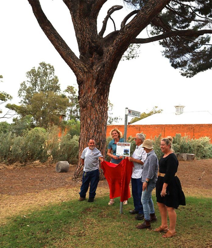 Historic tree immortalised
