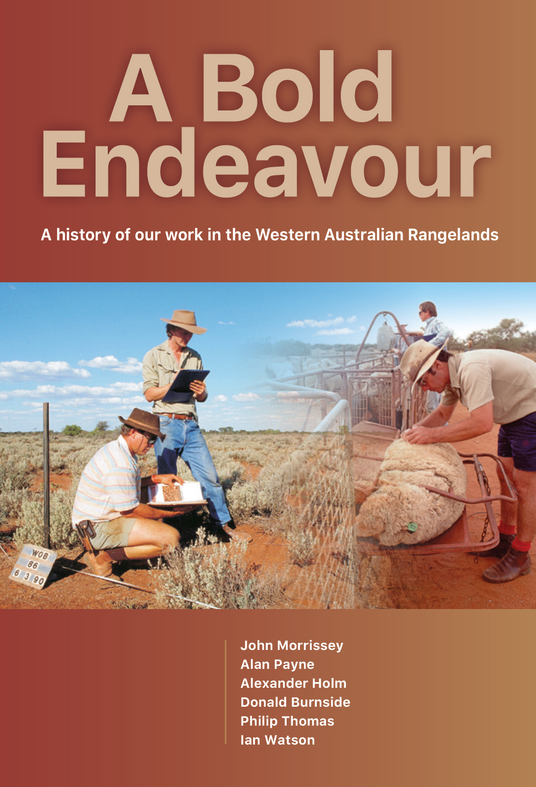 A Bold Endeavour cover