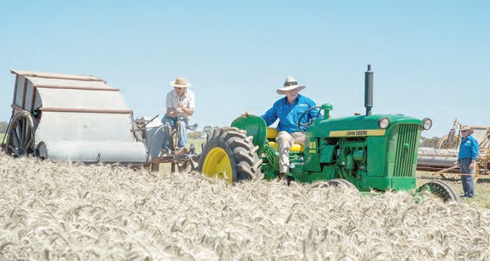 Buloke Times - Thursday, January 22, 2026-1