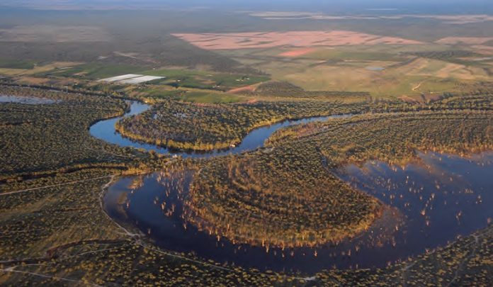 Murray-Darling Basin