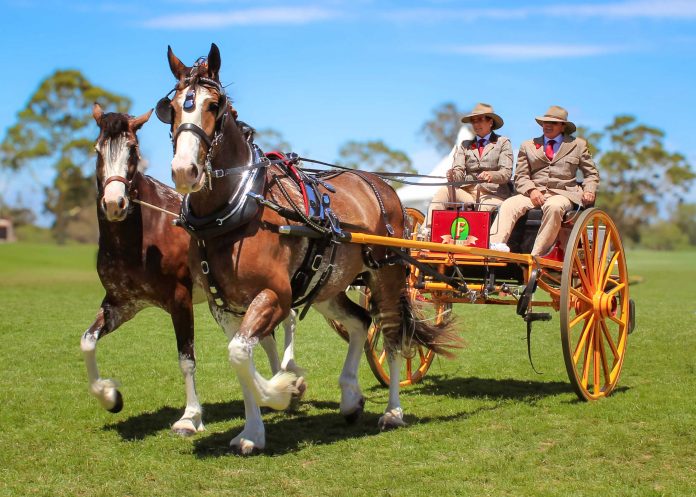 c0796a_1b06a2011f4d4f0b932d38d96a8693b5~mv2 (1)