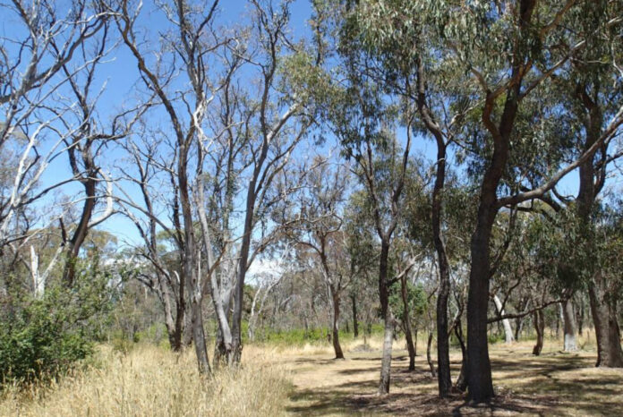 BoundaryContrastVJurskisfor3.26 Boundary contrast