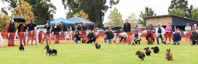 Fastest Wiener in the West to Win $200 at Day of the Dackel 2026