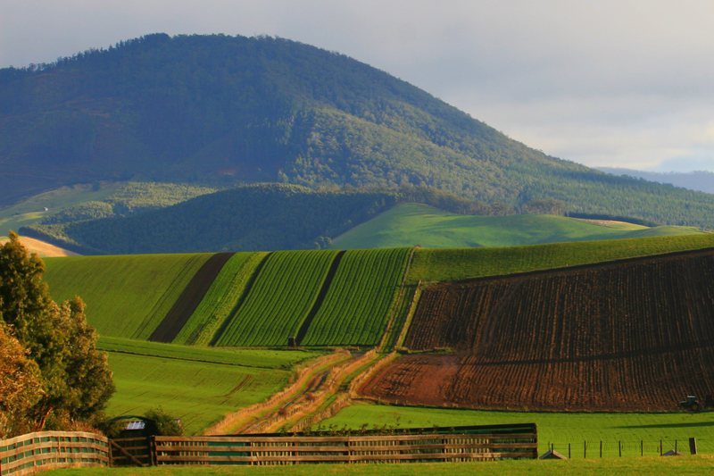 Farmland Tasmania