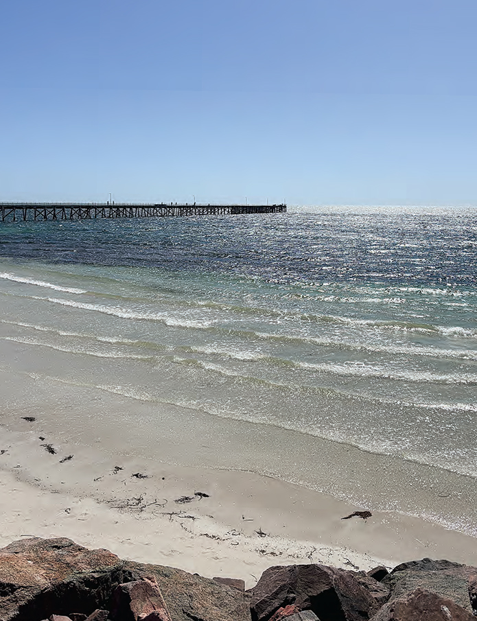 Algal bloom on the move