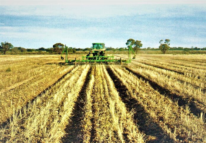 DBC - Renovating beds WoodanillingARRApril26A Seedbed Conditioner renovating beds