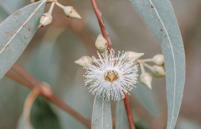 Screenshot 2026-04-09 134757