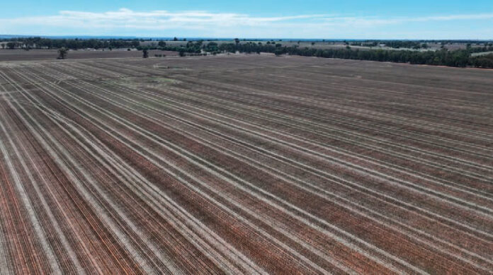 The two family farms are located in Boree Creek