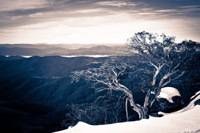 dreamstime_s_28852666 Winter in the High Country by Ashley Whitworth