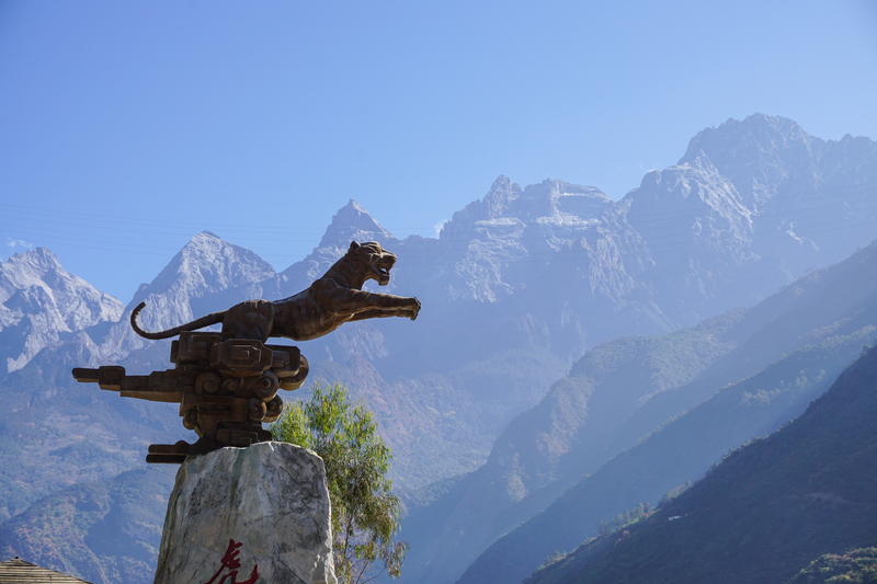 Tiger leaping statue