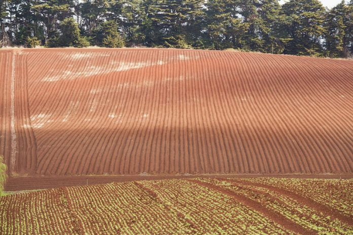 dreamstime_s_60653620