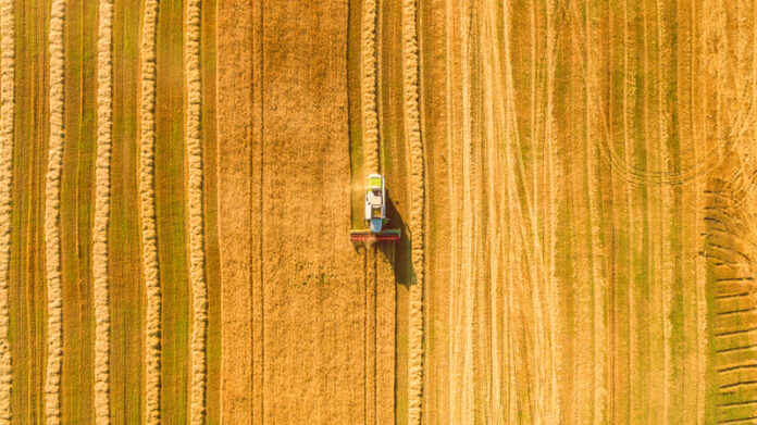 dreamstime_s_77090947 Harvesting wheat in Ukraine