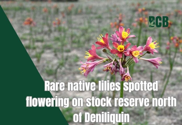 full_pWqLptn3B4F9n3BOwnQ0A