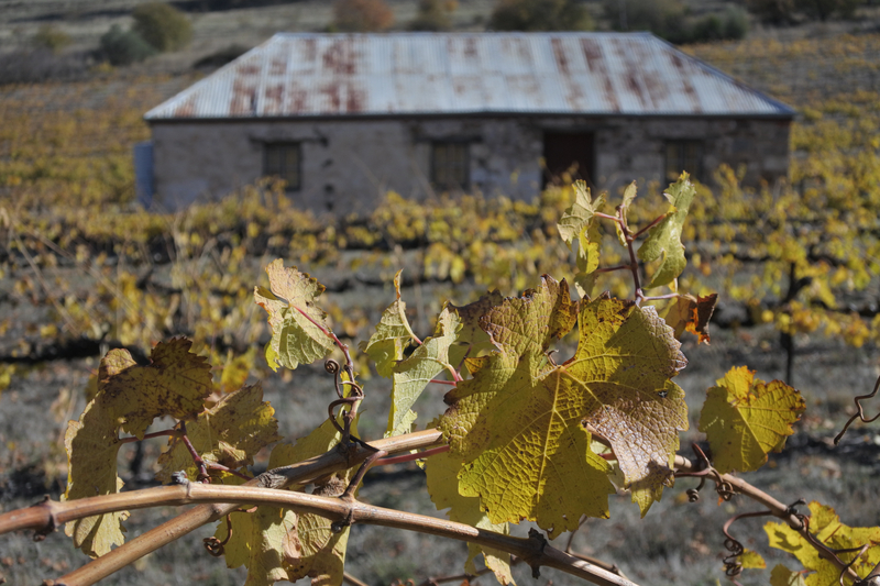 Clare Valley
