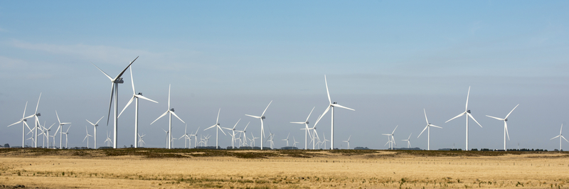 wind farm near Hamilton