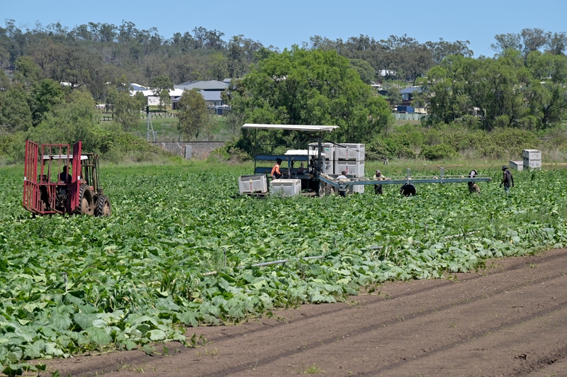 Harvesting