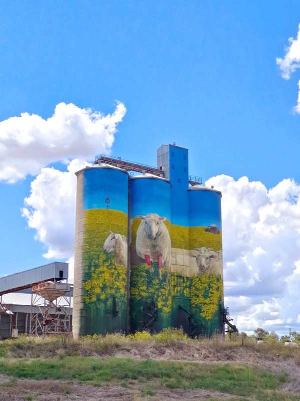 Silo art Upper Hunter