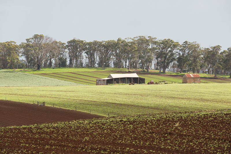 Farmland Tasmania