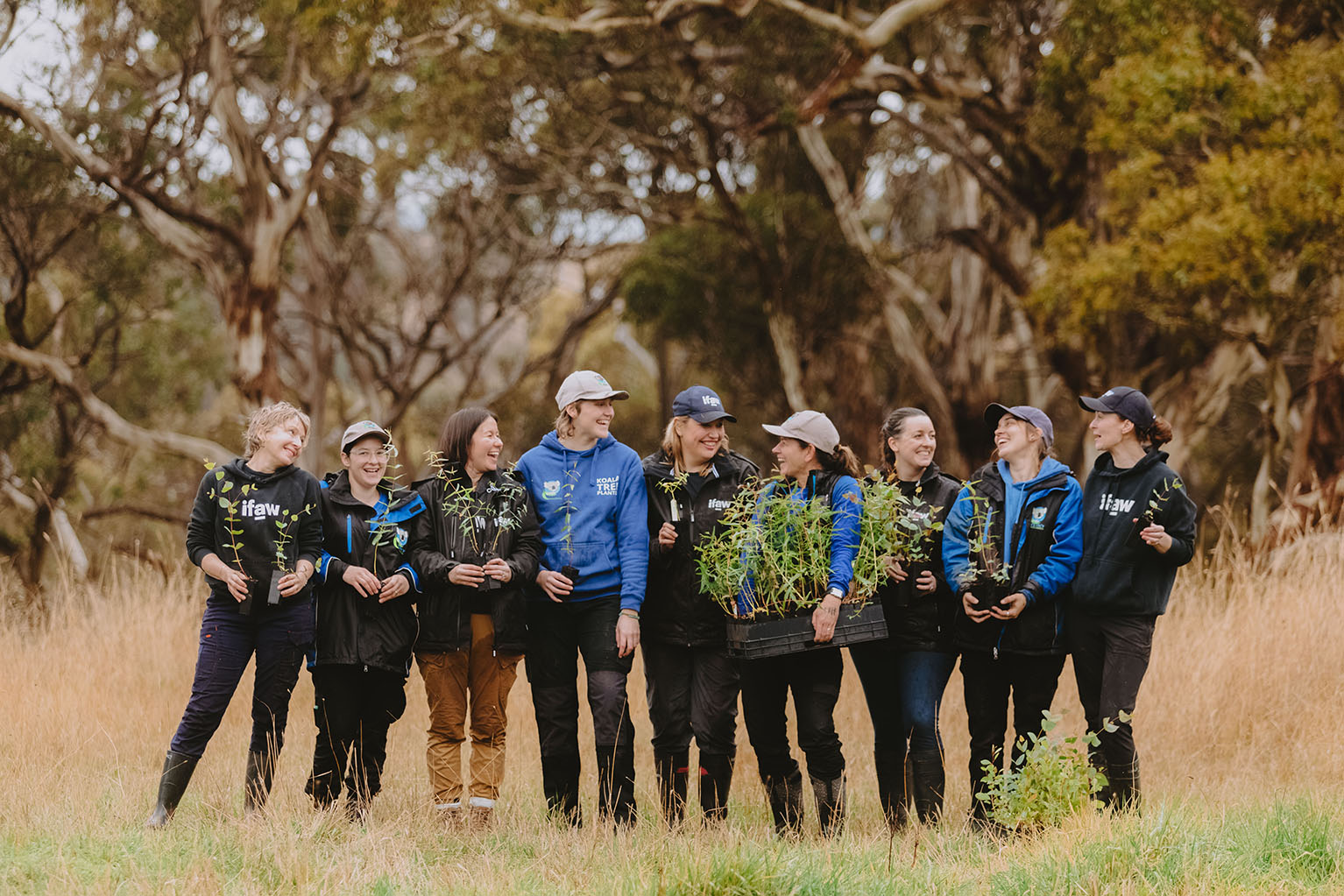 IFAW Koala Clancy team